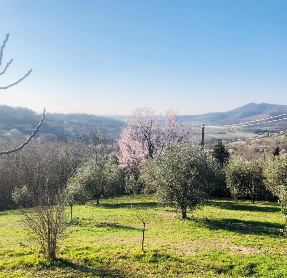 Tavern di Arqua' Arqua Petrarca Bagian luar foto